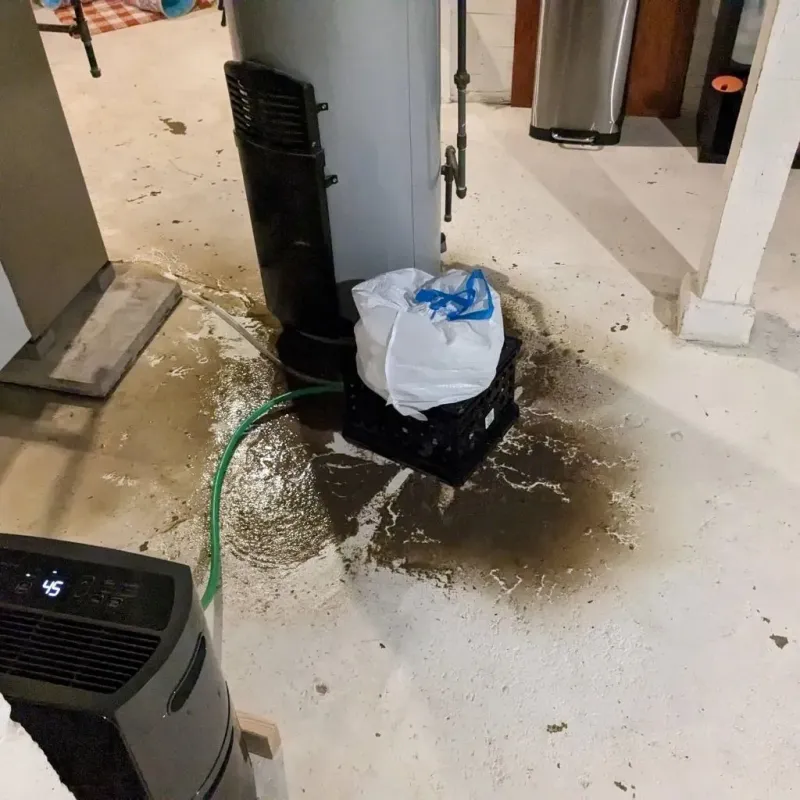 Sewage Backup Cleanup Service in Middlefield, OH